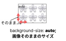 background-size:autoのイメージ