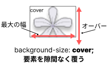 background-size:coverのイメージ