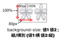 background-size:size縦横別指定のイメージ